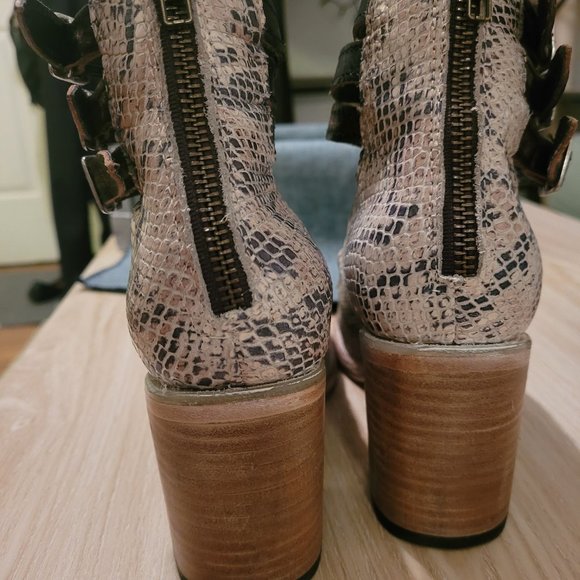 Freebird Randi - Picture 5 of 6